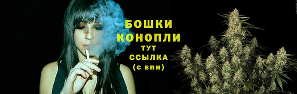 молекула духа Михайловск