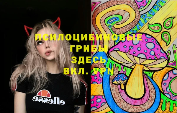 ПСИЛОЦИБИНОВЫЕ ГРИБЫ Михайловка