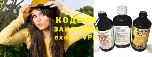 ПСИЛОЦИБИНОВЫЕ ГРИБЫ Михайловка