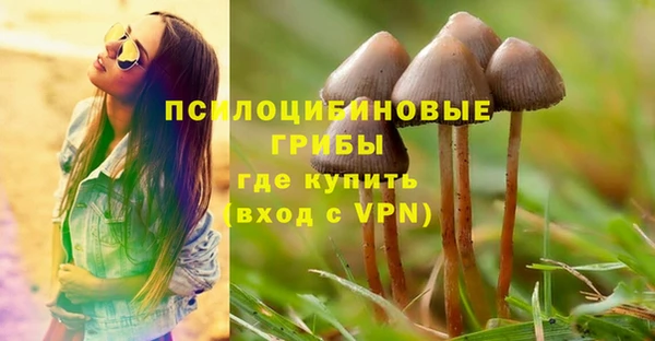 ПСИЛОЦИБИНОВЫЕ ГРИБЫ Михайловка
